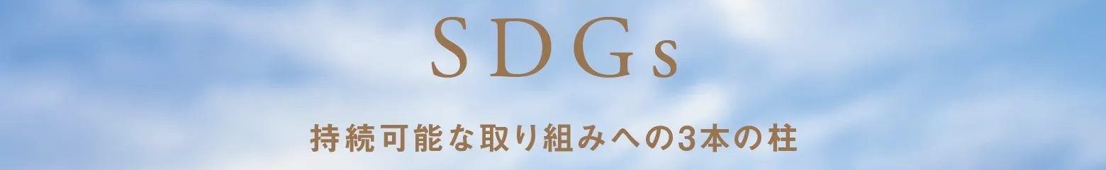 SDGs 持続可能な取り組みへの3本の柱